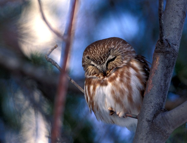 Vibrant Land, Water, & Wildlife